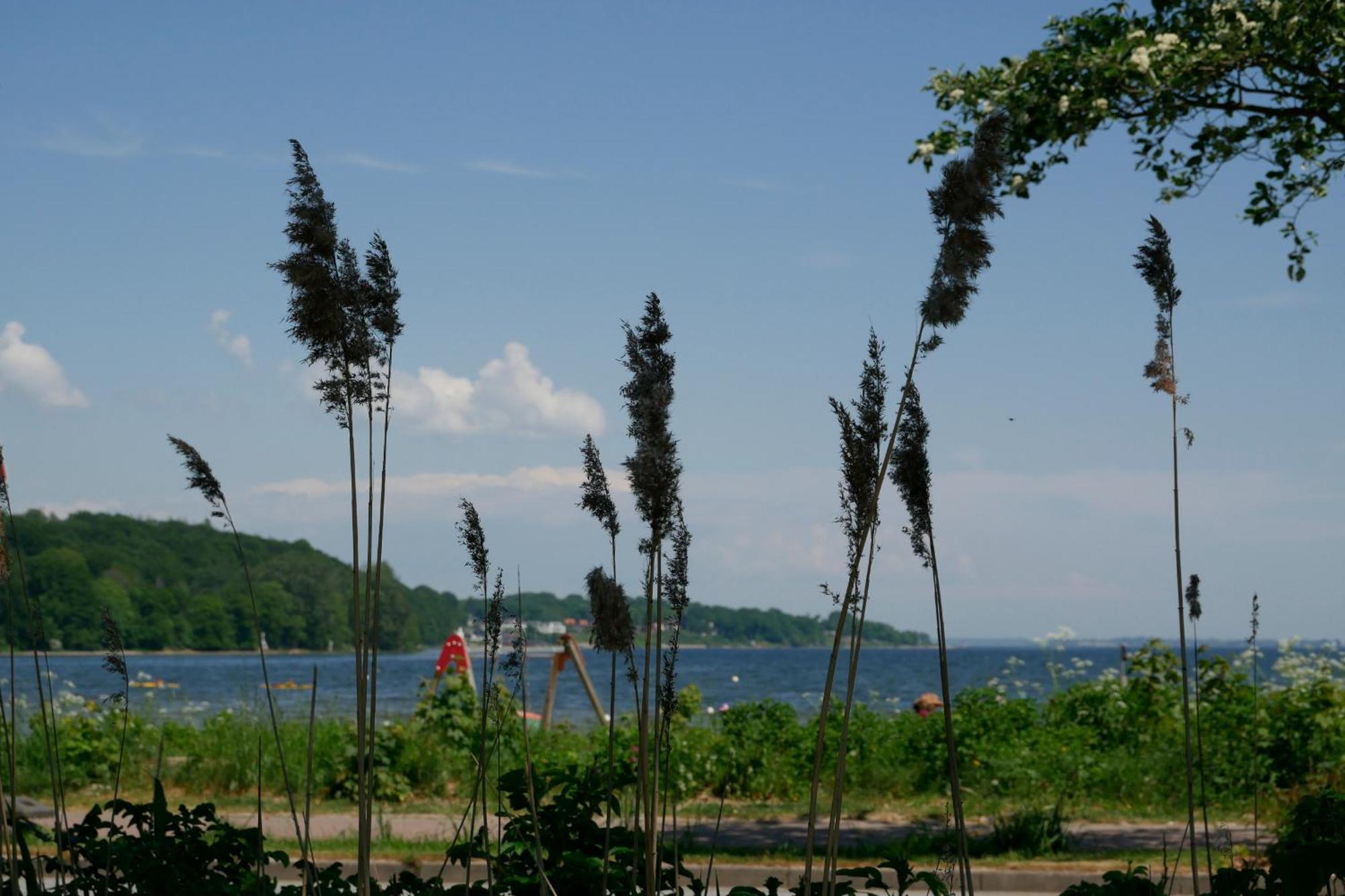 Ostsee, Wunderschoene Wohnung Mit Meerblick Харрисле Экстерьер фото